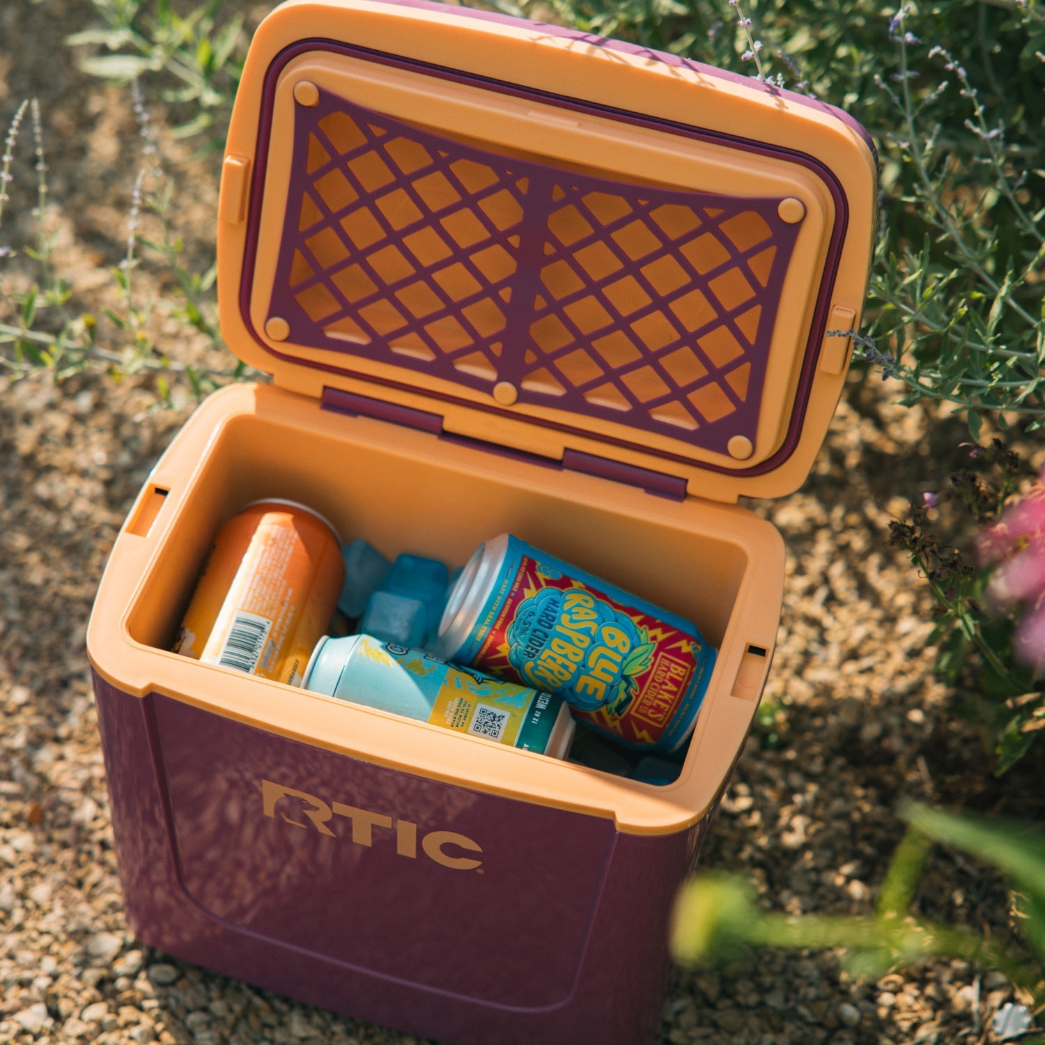 8 QT Road Trip Personal Cooler (LL4S)