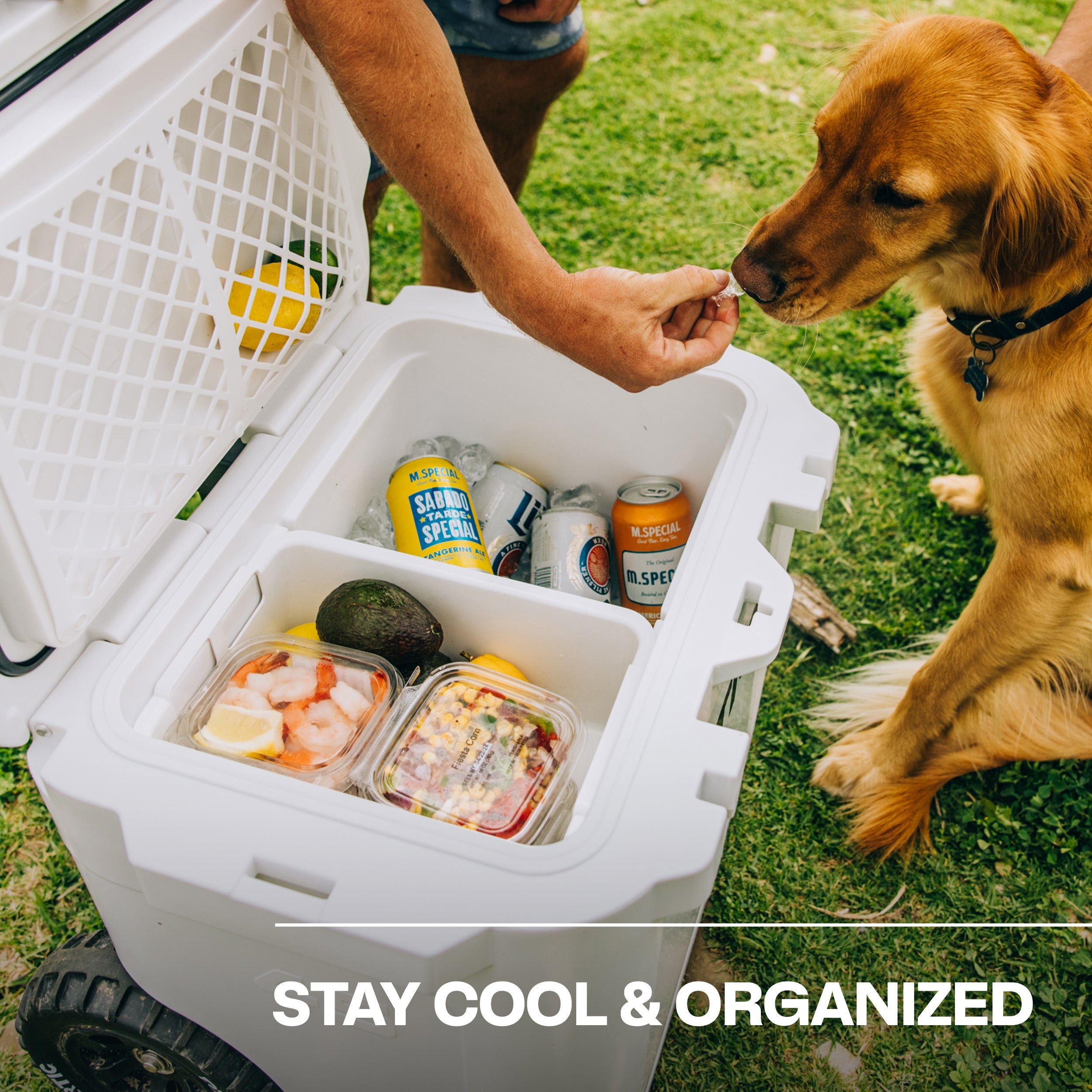 45 QT Ultra-Tough Wheeled Cooler (9A6U)